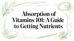 Title card: Absorption of Vitamins 101: A Guide to Getting Nutrients, with green botanical borders around the text.