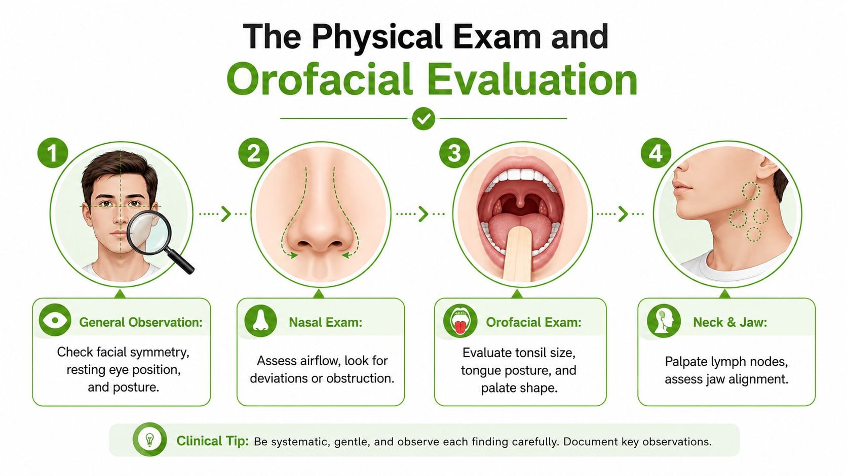 A step-by-step infographic illustrating a four-part physical exam and orofacial evaluation for assessing airway health.