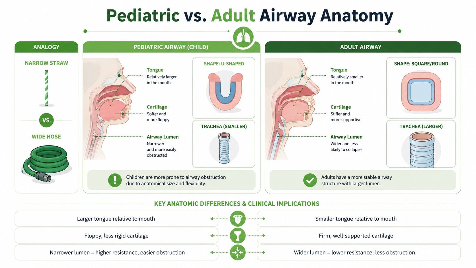 A comparative illustration detailing the anatomical differences between pediatric and adult airways and their clinical implications.