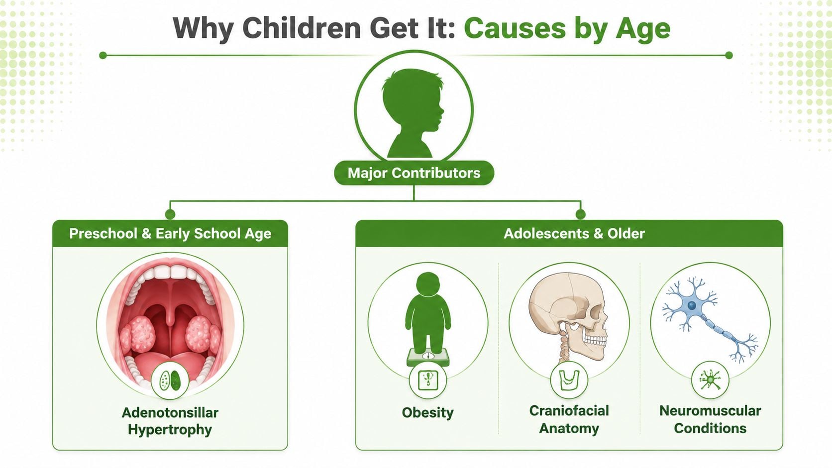 A infographic showing the main causes of pediatric sleep apnea, categorized by preschool children and adolescents.