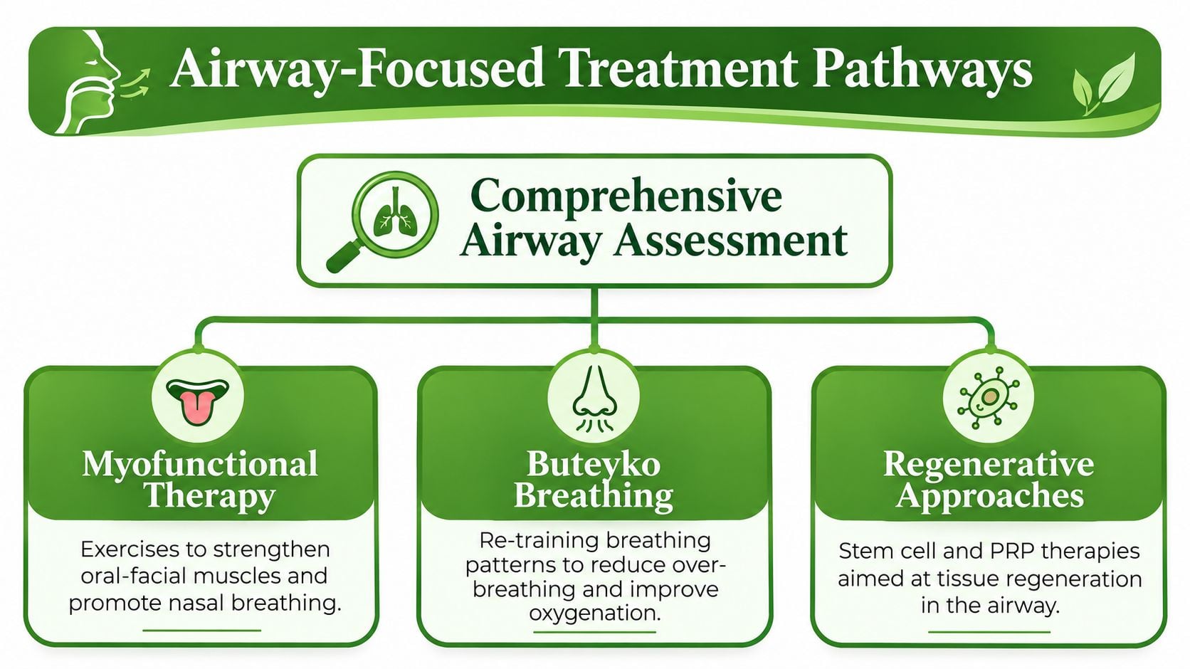 A diagram outlining airway-focused treatment pathways including comprehensive assessment, myofunctional therapy, Buteyko breathing, and regenerative approaches.