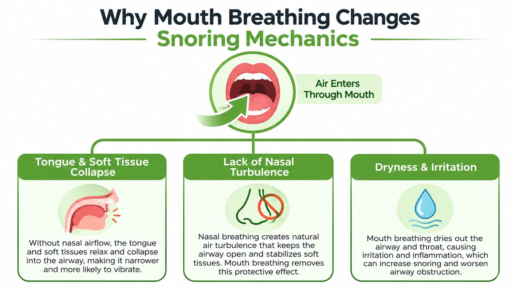 A diagram explaining how mouth breathing impacts snoring mechanics through tissue collapse, nasal airflow, and throat dryness.